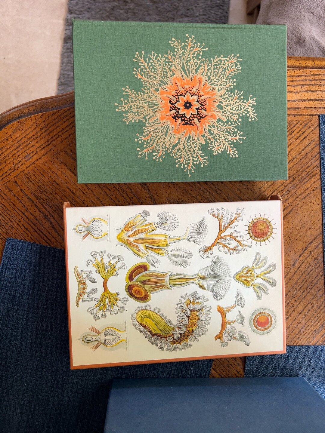Natural History, catalogue photograph 2