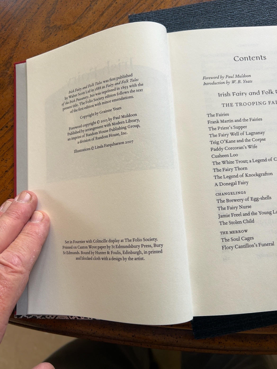 Irish Fairy and Folk Tales, catalogue photograph 2