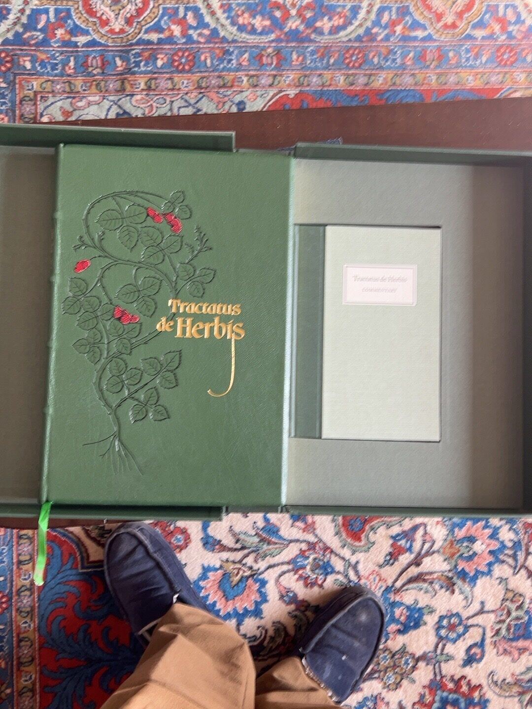 Tractatus de Herbis, FOL-0005