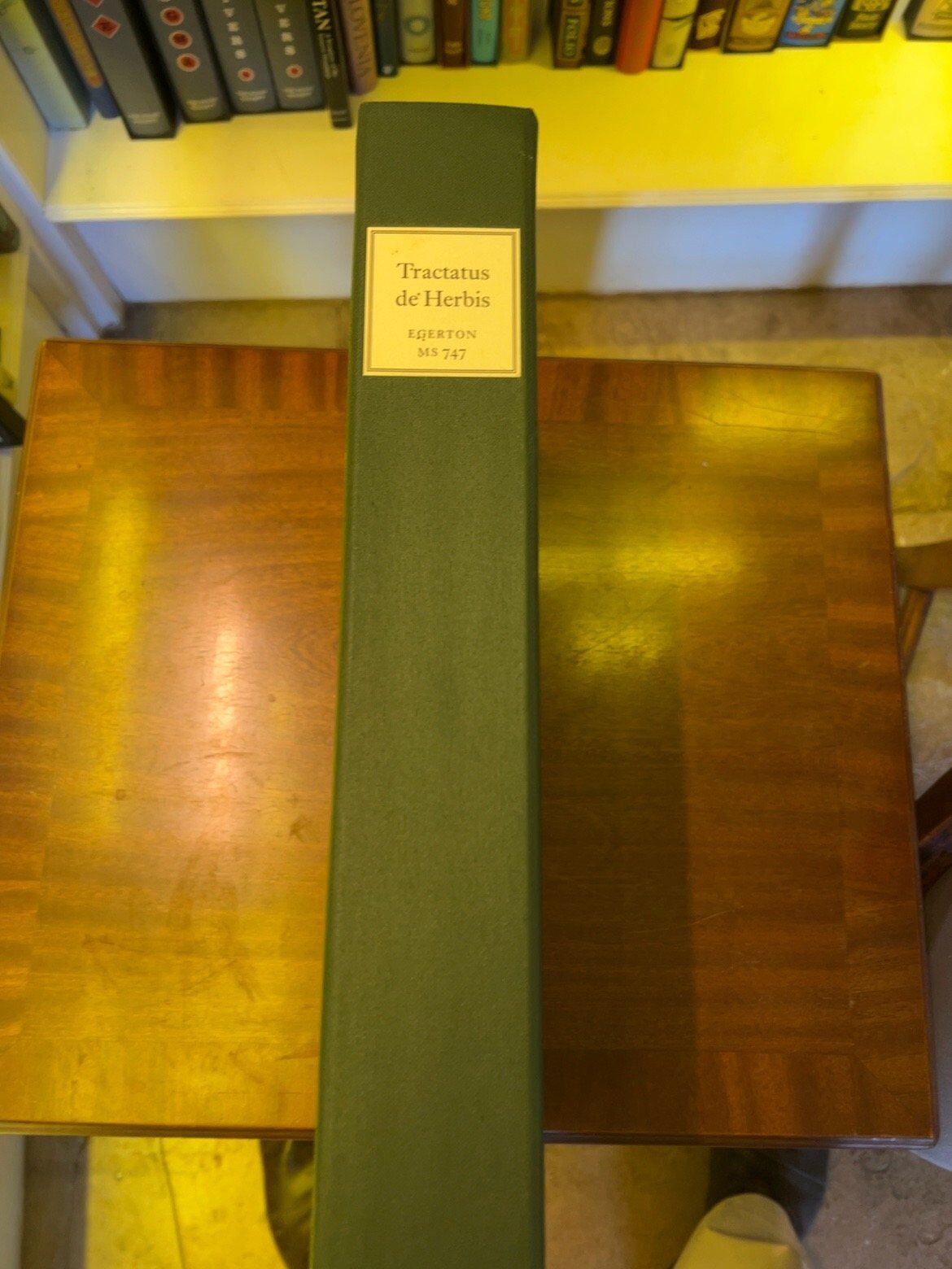Tractatus de Herbis, catalogue photograph 2
