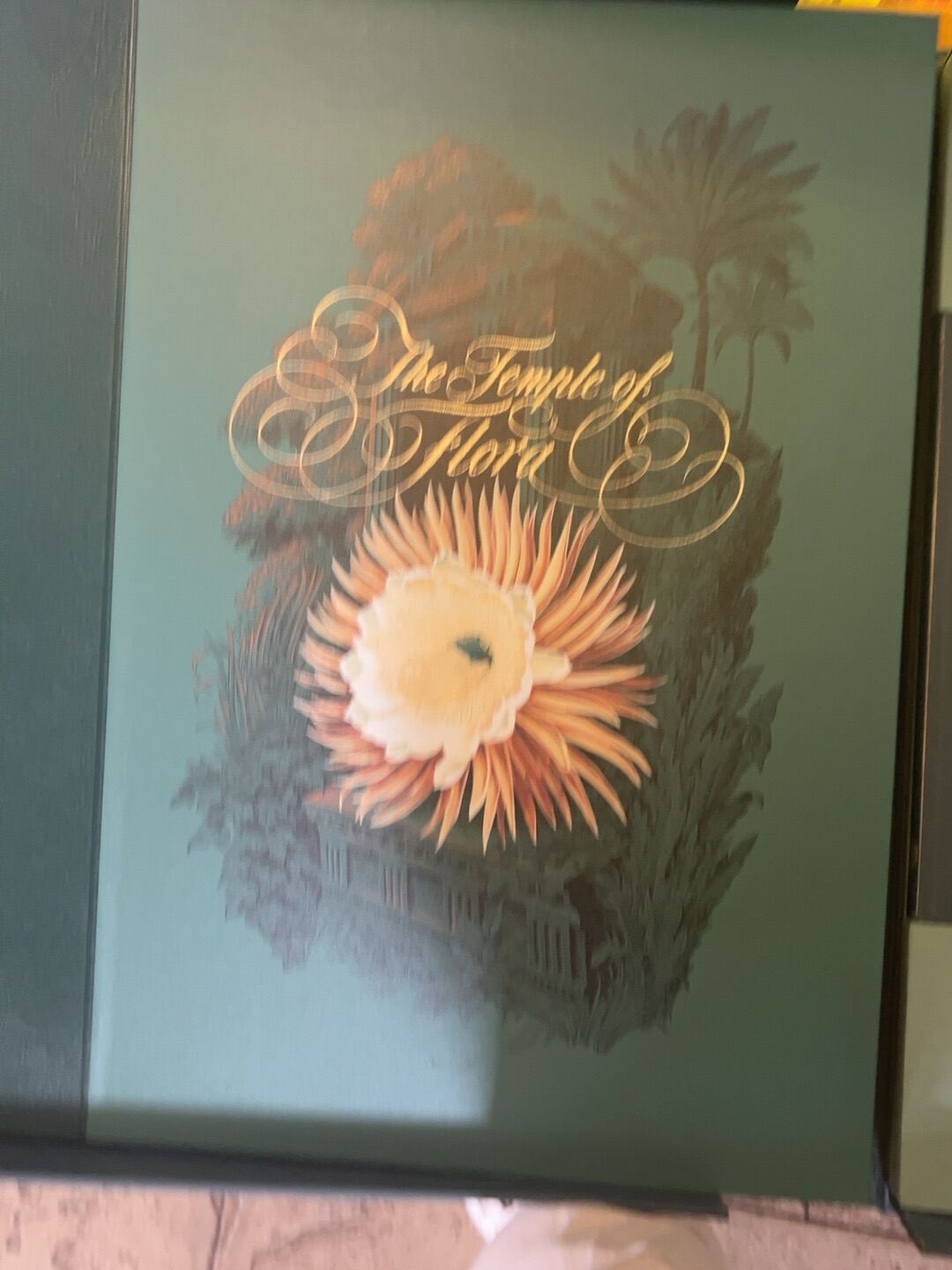 The Temple of Flora, catalogue photograph 2